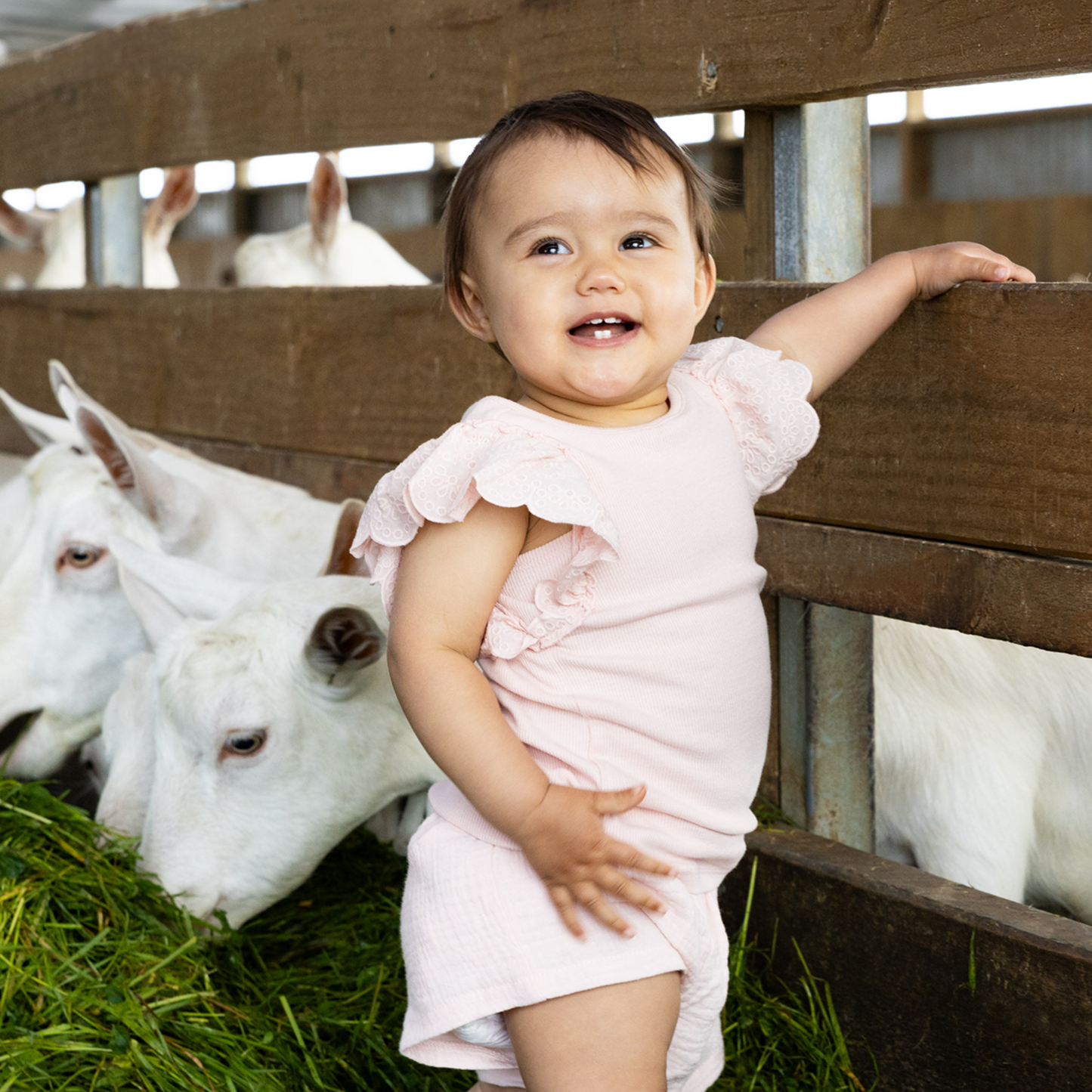 Capricare® 2ème âge - Lait infantile de chèvre